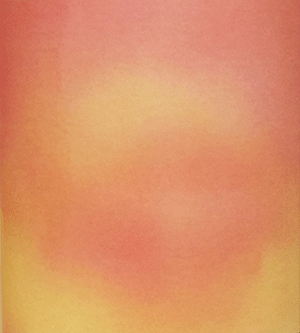 ドメーヌ・ラファエル・ギュイョ・ヴァン・ド・フランス・ルージュ・カロス 2024