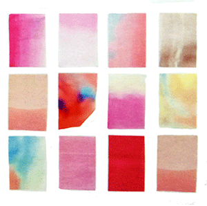 ドメーヌ・ラファエル・ギュイョ・ヴァン・ド・フランス・ルージュ・エオス 2024 マグナム