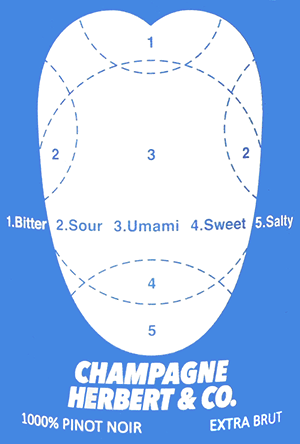 エルベール・シャンパーニュ・エクストラ・ブリュット・キュヴェ・1000% ピノ・ノワール 2021