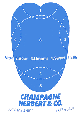 エルベール・シャンパーニュ・エクストラ・ブリュット・キュヴェ・1000% ムニエ 2021