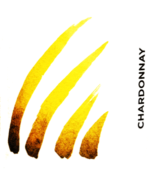 アンス・シャンパーニュ・ブラン・ド・ブラン・ブリュット・ナチュール・プルミエ・クリュ・キュヴェ・レ・クチュール・ミレジメ 2021