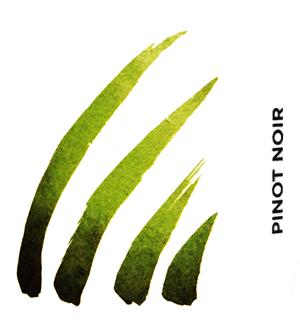 アンス・シャンパーニュ・ブラン・ド・ノワール・ブリュット・ナチュール・プルミエ・クリュ・キュヴェ・レ・ゾート・マラドリ・ミレジメ 2021