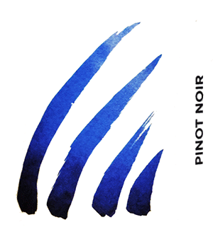 アンス・シャンパーニュ・ブラン・ド・ノワール・ブリュット・ナチュール・プルミエ・クリュ・キュヴェ・ル・ノワイエ・ド・ロルム・デュ・ノール・ミレジメ 2021