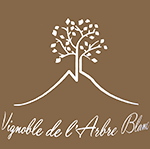 ラルブル・ブラン・ヴァン・ド・フランス・ブラン・レ・フェス 2020