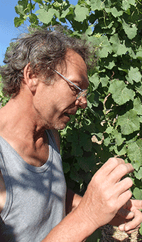 ジュリアン・メイエー　DOMAINE JULIEN MEYER