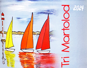 ドメーヌ・ド・ラ・セネシャリエール（マルク・ペノ）・ヴァン・ド・フランス・ブラン・トリ・マルトロード 2024