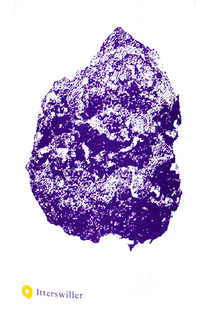 レオナール・ディートリッヒ・ヴァン・ド・フランス・ブラン・イッターズウィラー 2022