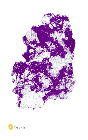 レオナール・ディートリッヒ・ヴァン・ド・フランス・ブラン・グラニット 2024