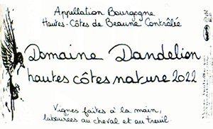 ドメーヌ・ダンドリオン・オート・コート・ド・ボーヌ・ルージュ 2023