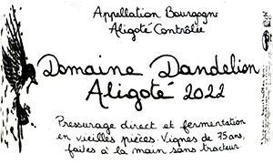 ドメーヌ・ダンドリオン・ブルゴーニュ・アリゴテ 2022