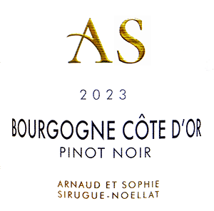 ドメーヌ・アルノー・エ・ソフィー・シリュグ・ノエラ・ブルゴーニュ・コート・ドール・ピノ・ノワール 2023