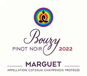 マルゲ・コトー・シャンプノワ・ブージィ・ピノ・ノワール 2022