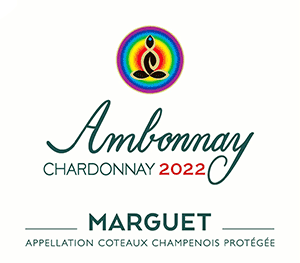 マルゲ・コトー・シャンプノワ・アンボネ・シャルドネ 2022