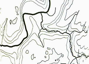 トム・ゴディティアボワ・シャンパーニュ・ブリュット・ナチュール・エクスポーラーシオン・E/03 2018