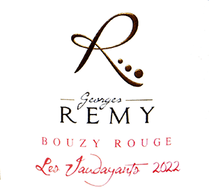 ドメーヌ・ジョルジュ・レミ・コトー・シャンプノワ・ブジー・ルージュ・レ・ヴォダヤン 2022