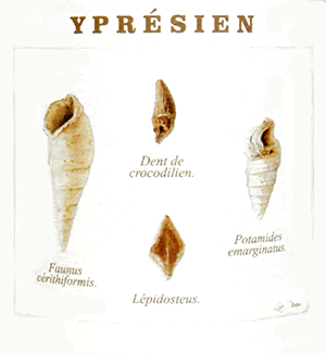 ルグラン・ラトゥール・シャンパーニュ・ブラン・ド・ノワール・ブリュット・ナチュール・キュヴェ・イプレジアン NV（2020）