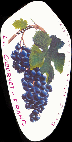 レ・カイユ・デュ・パラディ・ヴァン・ド・フランス・ルージュ・ル・カベルネ・フラン 2020