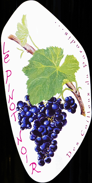 レ・カイユ・デュ・パラディ・ヴァン・ド・フランス・ルージュ・ル・ピノ・ノワール 2022